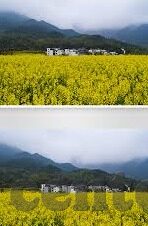 糖心app免费观看网站-解锁独家视界，探索糖心APP的免费影视盛宴